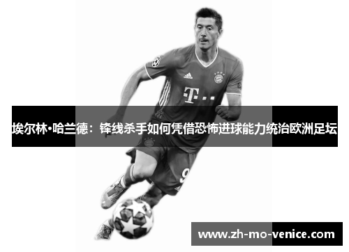 埃尔林·哈兰德:锋线杀手如何凭借恐怖进球能力统治欧洲足坛 埃尔林·哈兰德:锋线杀手如何凭借恐怖进球能力统治欧洲足坛