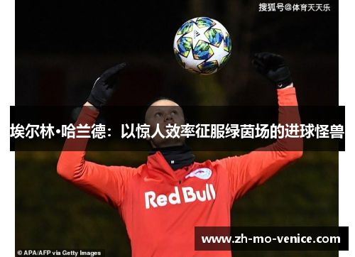 埃尔林·哈兰德:以惊人效率征服绿茵场的进球怪兽 埃尔林·哈兰德:以惊人效率征服绿茵场的进球怪兽