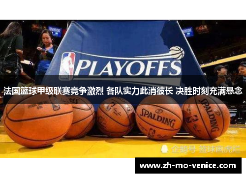法国篮球甲级联赛竞争激烈 各队实力此消彼长 决胜时刻充满悬念